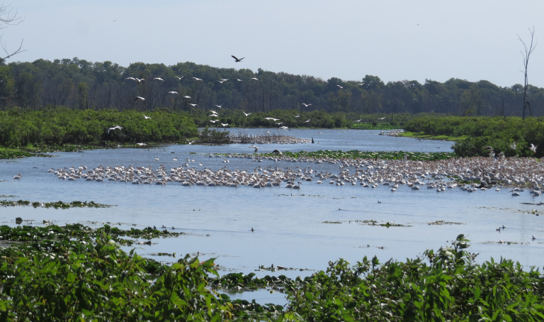 Port Louisa USFWS Refuge